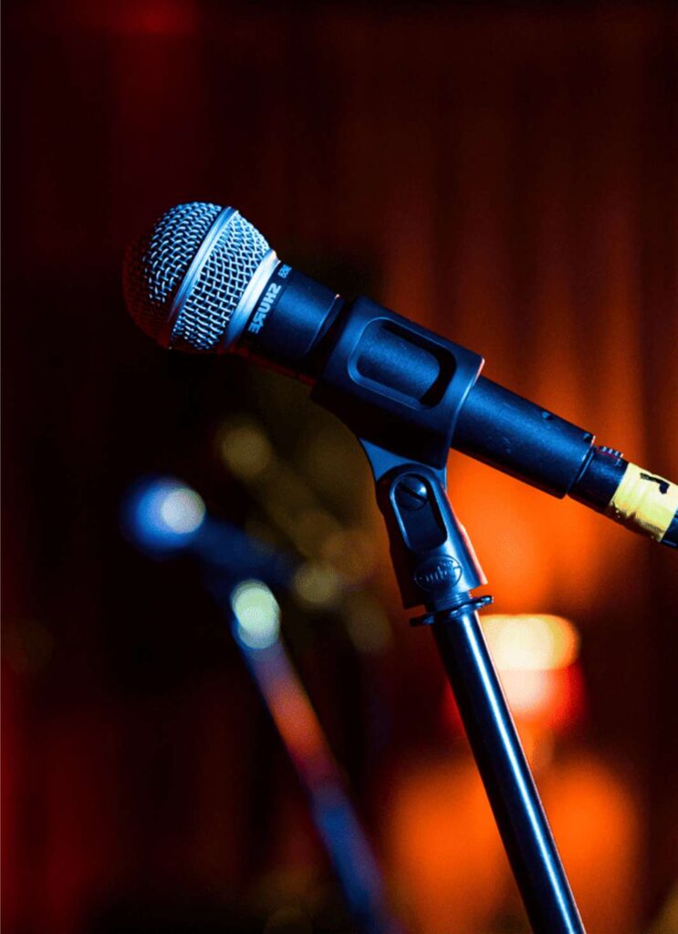 Pensando Em Colocar Musica Ao Vivo Na Festa 6